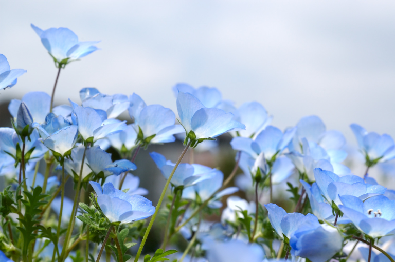 捗らねぇ! III { 祝・予告的中 || 願・スカ }