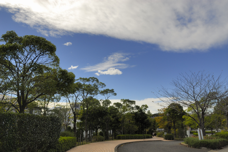 day walk 10/7 (1-10)