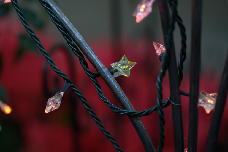 仲間が増えた ( Ai AF Nikkor 85mm F1.4D(IF) )