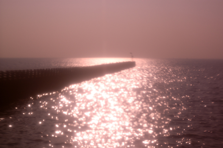 s n a p ( 露出もピントも気分で )