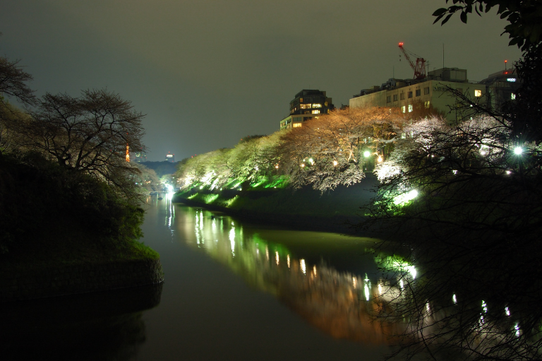 花見