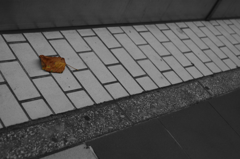きょうもカメラ持っていなくて正解