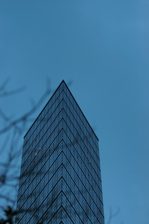 冬、だなこれは