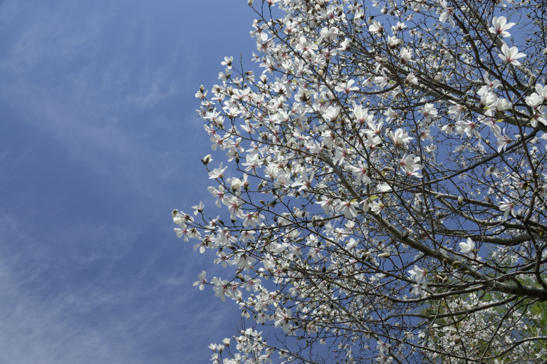 現像する時間が・・