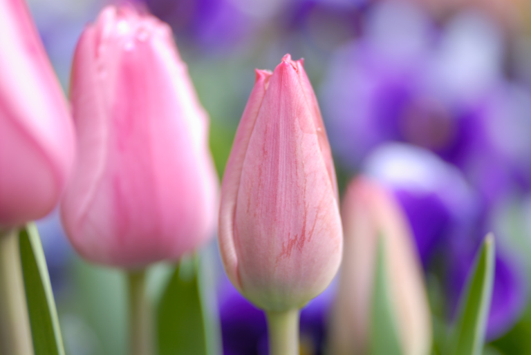 ♪愚痴愚痴♪愚痴愚痴~