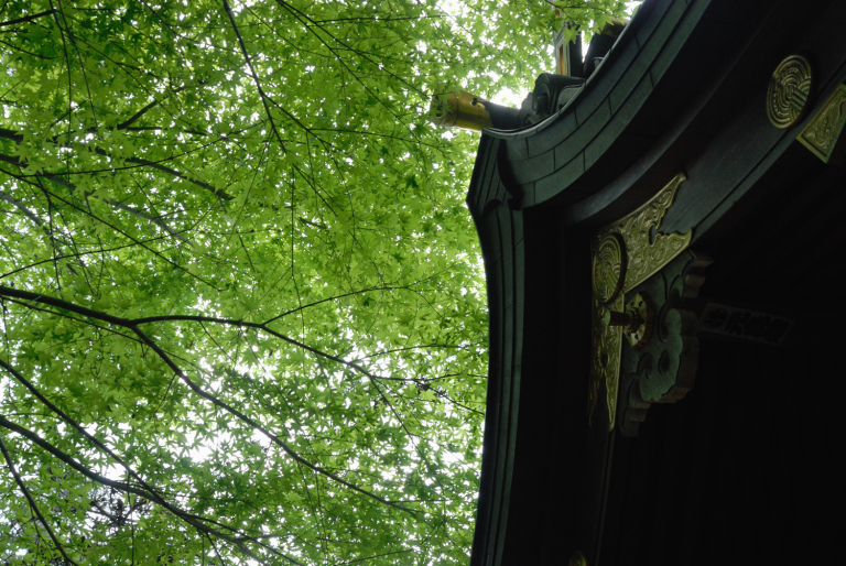 「挙って秋をめでるII」展のお知らせ