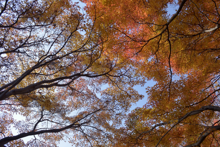 また少しづつ・・