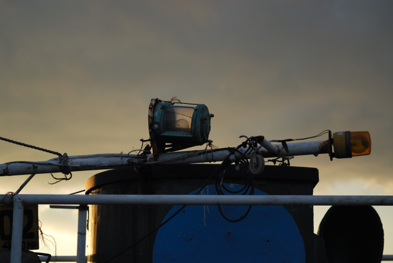 仲間が増えた ( Ai Nikkor 50mm F1.8S )