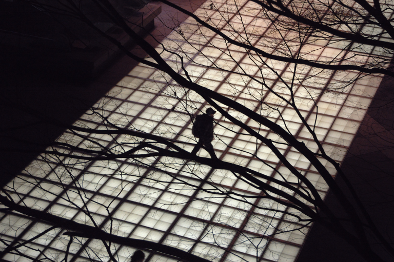 ブラウザは「Firefox2」