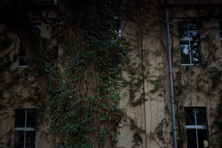 仲間が増えた ( SB800 )