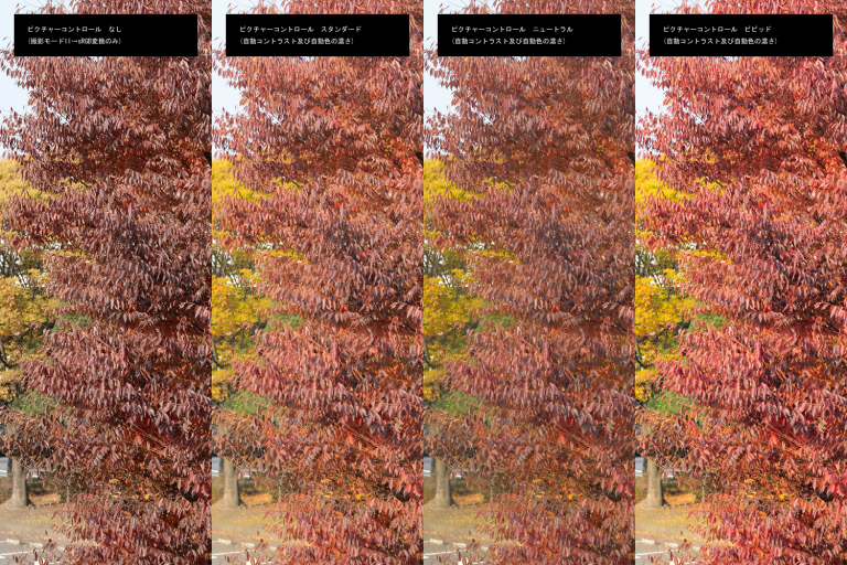 D200でピクチャーコントロール (NX 1.3)